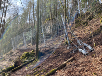 Felssicherungsbauwerk am Sachsenmühler Berg